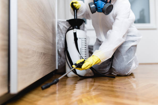 Best Residential Pest Control  in Waynesboro, GA