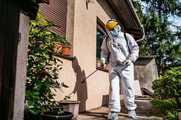 Best Emergency Pest Control  in Waynesboro, GA