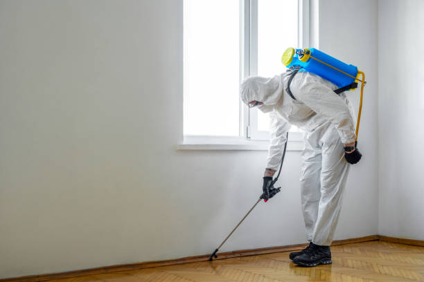 Best Ant Control Services  in Waynesboro, GA