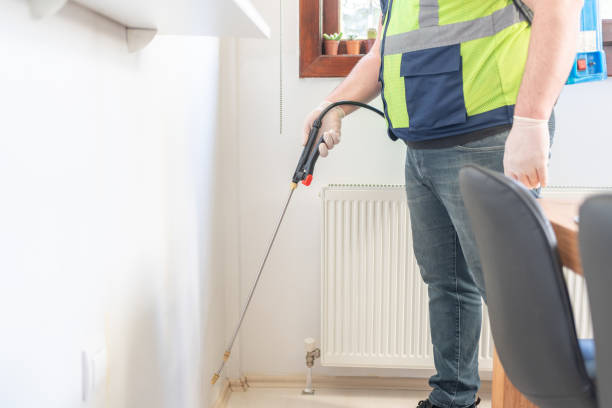 Best Affordable Pest Control Services  in Waynesboro, GA