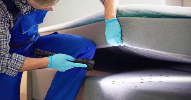 Best Wasp Removal Services  in Waynesboro, GA
