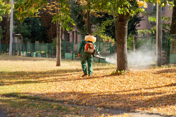 Best Termite Control Services  in Waynesboro, GA