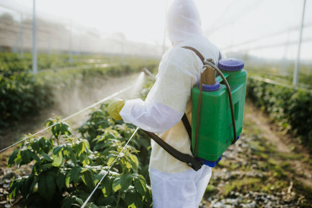 Pest Control for Restaurants in Waynesboro, GA